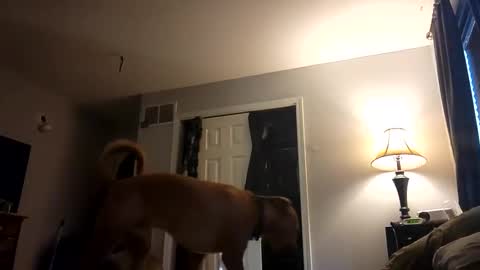 Nate online show from February 28, 2025, 1:03 pm