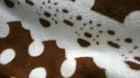 Snapshot of flora48230522373 chatting on June 21, 2026, 5:21 am flora48230522373 online show from June 21, 2026, 5:21 am