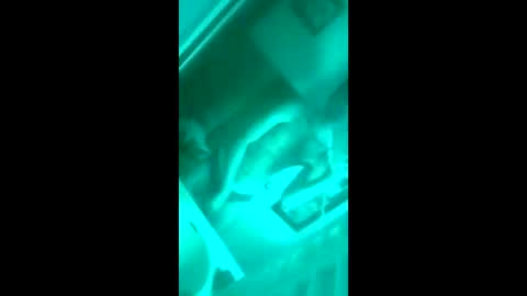 Snapshot of floridaloverboy88 chatting on September 29, 2025, 5:29 pm floridaloverboy88 online show from September 29, 2025, 5:29 pm