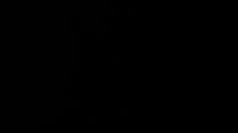 fn53mh13 online show from December 9, 2024, 2:06 pm