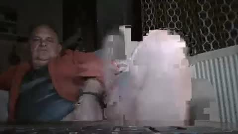 fofodi online show from November 28, 2025, 9:50 pm