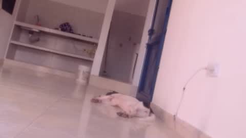 Snapshot of forbidden_games__ chatting on December 27, 2024, 10:05 pm emely and felix online show from December 27, 2024, 10:05 pm