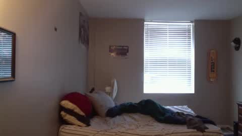 Snapshot of forlorndog chatting on April 7, 2026, 5:24 pm forlorndog online show from April 7, 2026, 5:24 pm