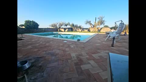 fra  71 online show from March 28, 2026, 6:13 am