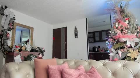 Snapshot of fraiderbrown chatting on December 2, 2024, 3:03 pm IM FRAIDER online show from December 2, 2024, 3:03 pm