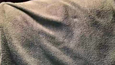 Snapshot of fredasstare chatting on November 2, 2025, 12:24 am Fred online show from November 2, 2025, 12:24 am