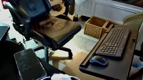 Snapshot of freespirt2 chatting on November 1, 2025, 3:08 am freespirt2 online show from November 1, 2025, 3:08 am