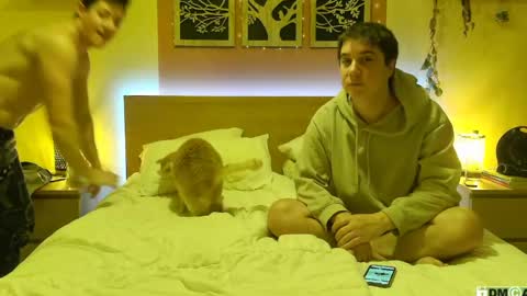 French Horny Bibs online show from January 26, 2025, 8:02 pm