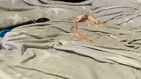 Meadow online show from September 9, 2025, 11:26 pm