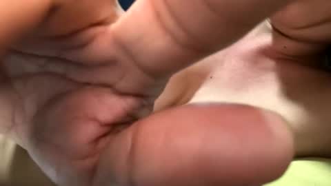 carolina online show from February 9, 2026, 6:12 pm