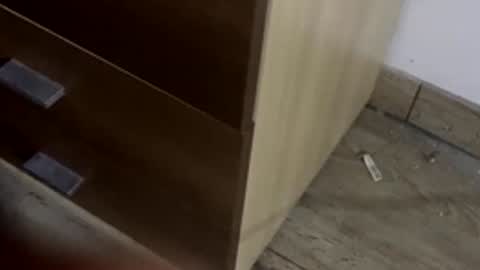 Snapshot of freshnarco chatting on December 21, 2025, 9:22 pm freshnarco online show from December 21, 2025, 9:22 pm