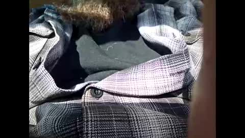 Snapshot of frickish chatting on January 21, 2025, 6:55 pm Frickish online show from January 21, 2025, 6:55 pm