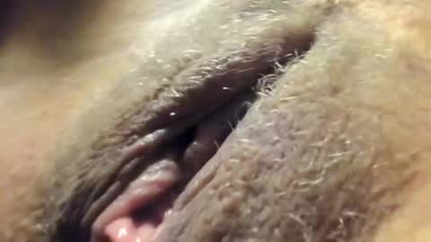 Snapshot of frumcake chatting on December 30, 2024, 12:32 am FrumCake online show from December 30, 2024, 12:32 am