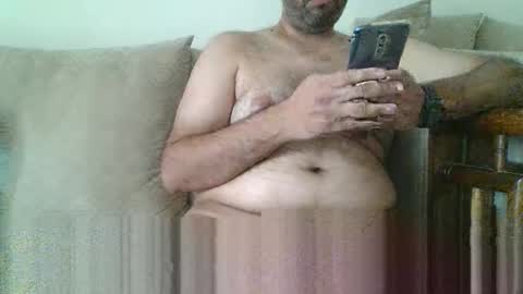 fruti loops  Bull online show from February 23, 2026, 10:45 am