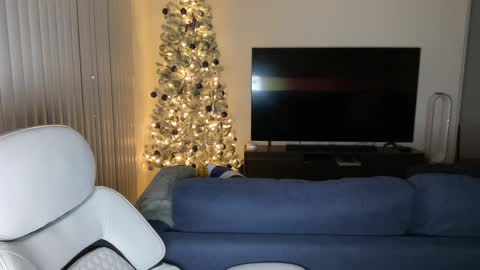 Snapshot of ftl7forfun chatting on December 2, 2024, 6:52 am ftl7forfun online show from December 2, 2024, 6:52 am