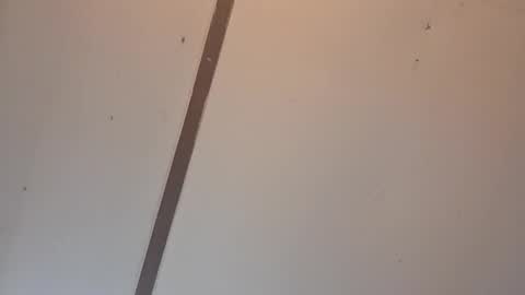 Astrid online show from April 3, 2026, 2:09 am