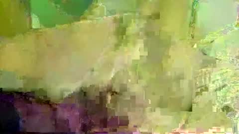 funandwilde online show from October 8, 2025, 2:20 am