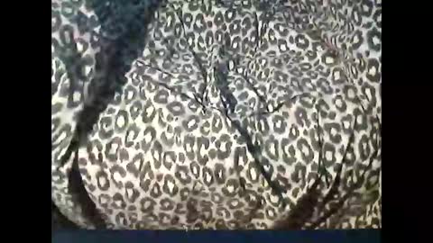 funcyman3 online show from April 15, 2026, 4:03 pm