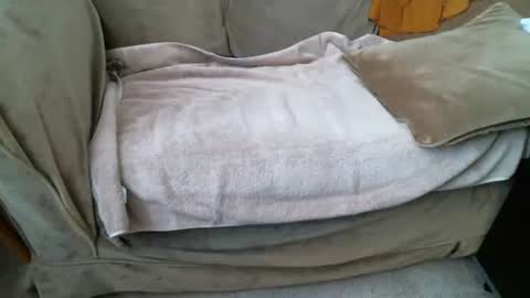 funlovinchub online show from February 8, 2026, 6:33 pm