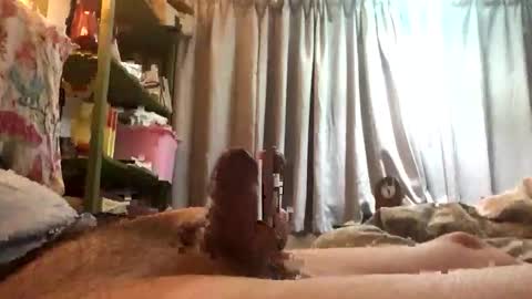 funxuriate online show from March 1, 2026, 5:53 am