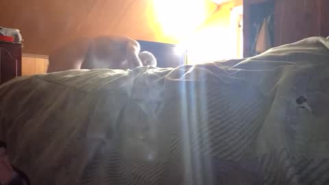 77daddy online show from February 23, 2026, 4:04 pm