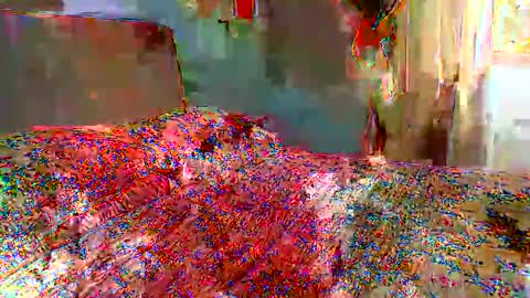 Snapshot of gabibrasil chatting on January 10, 2026, 2:52 pm gaby layla online show from January 10, 2026, 2:52 pm