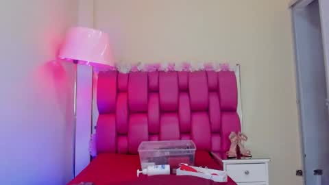 Snapshot of gabrielaa_01 chatting on February 19, 2025, 2:55 pm Gaby Im on vacation see you on November 25 online show from February 19, 2025, 2:55 pm