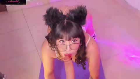 PROXIMO SHOW NOVIEMBRE 16   NEXT SHOW NOVEMBER  16    online show from November 25, 2025, 9:04 pm