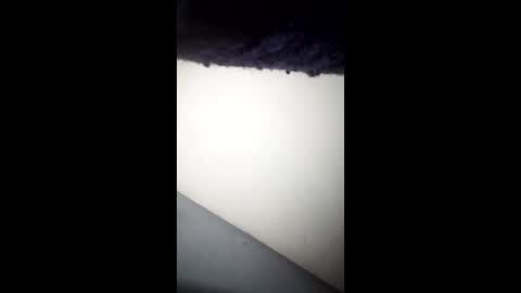 Ganis online show from April 26, 2026, 6:33 am