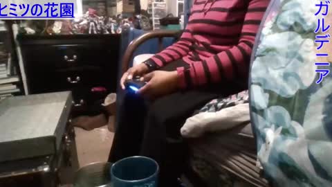 Gardenia online show from December 29, 2024, 9:09 pm