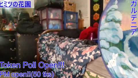 Gardenia online show from January 5, 2025, 6:35 am