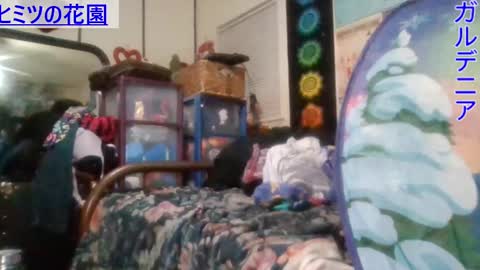 Gardenia online show from January 31, 2025, 6:35 am