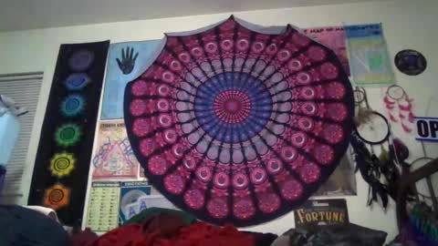 Gardenia online show from March 20, 2026, 9:36 am