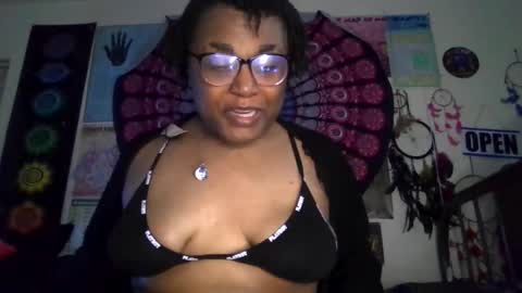 Gardenia online show from March 23, 2026, 8:40 am