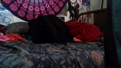 Snapshot of gardeniaspear chatting on May 20, 2026, 9:04 am Gardenia online show from May 20, 2026, 9:04 am