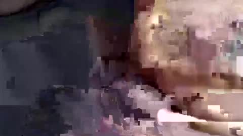 gatinhow82 online show from March 26, 2026, 2:50 am