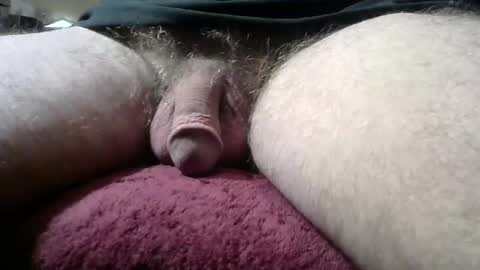 gemini_2 online show from January 12, 2025, 3:46 pm