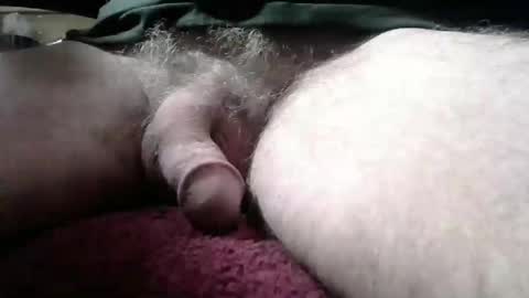 gemini_2 online show from January 19, 2025, 2:17 pm