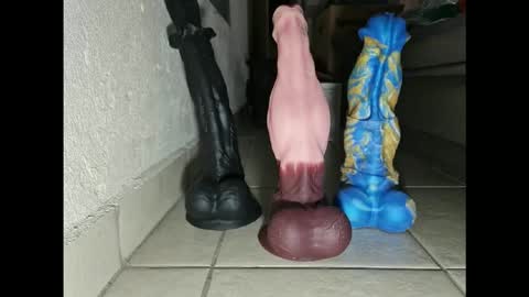 generalerectional online show from November 10, 2025, 10:36 am