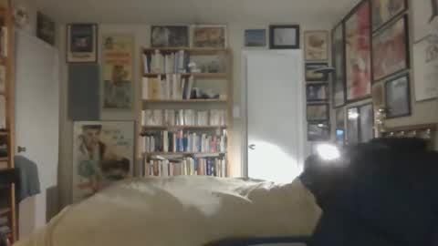 Steve online show from November 26, 2025, 7:42 am