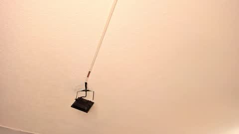 Georgina  online show from March 15, 2026, 11:05 am