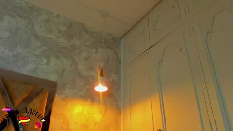 Snapshot of gerson_zt chatting on January 27, 2025, 5:14 am im Gerson online show from January 27, 2025, 5:14 am