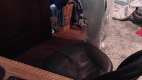 gethoggy online show from January 25, 2025, 4:35 pm