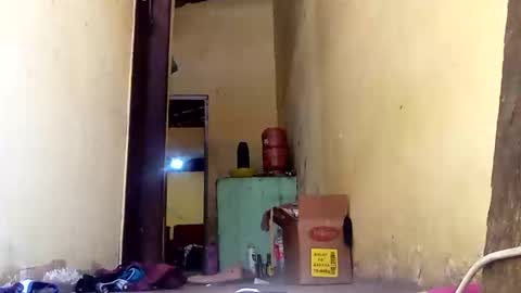 Gaby online show from September 27, 2025, 2:55 pm