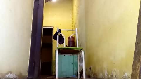 Gaby online show from February 23, 2026, 2:58 pm