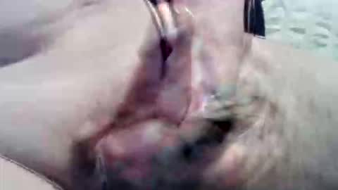 ghost1805 online show from September 15, 2025, 9:04 pm