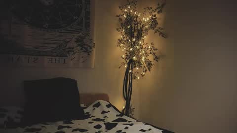 Snapshot of ghoticspectre chatting on January 15, 2026, 5:16 pm ghoticspectre online show from January 15, 2026, 5:16 pm