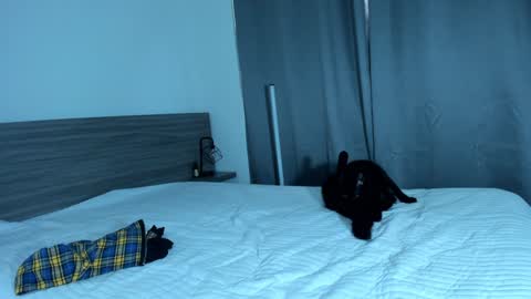 giannasue online show from January 11, 2025, 6:01 pm