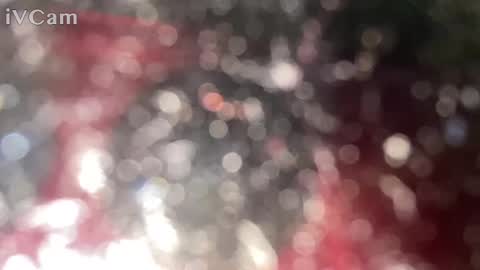 GingerNinja online show from January 12, 2025, 10:33 pm