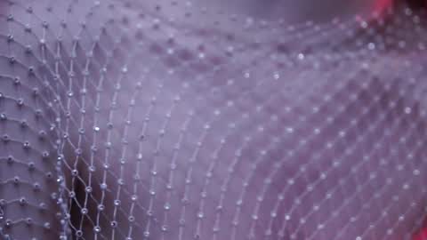 Snapshot of ginger_hugs chatting on February 6, 2025, 4:21 am im expecting 350 thumbs up on my altar online show from February 6, 2025, 4:21 am